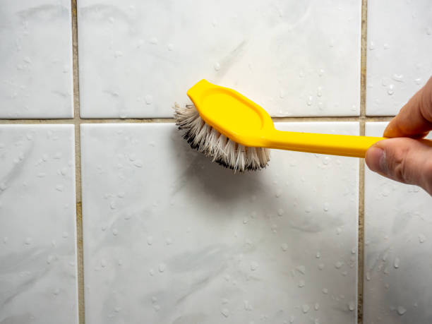 Best Residential Mold Removal  in Franklin Rk, PA