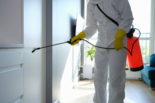 Best Mold Remediation  in Franklin Rk, PA
