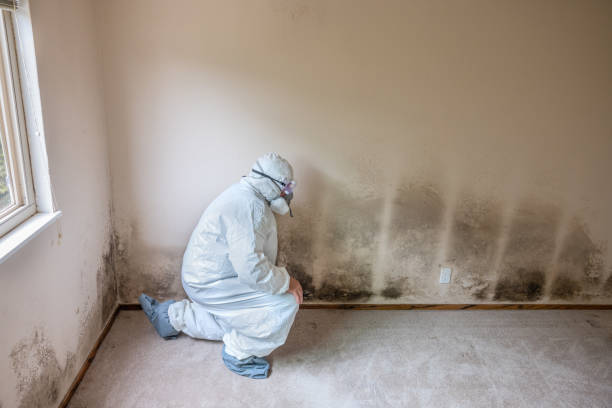 Best Emergency Mold Removal  in Franklin Rk, PA