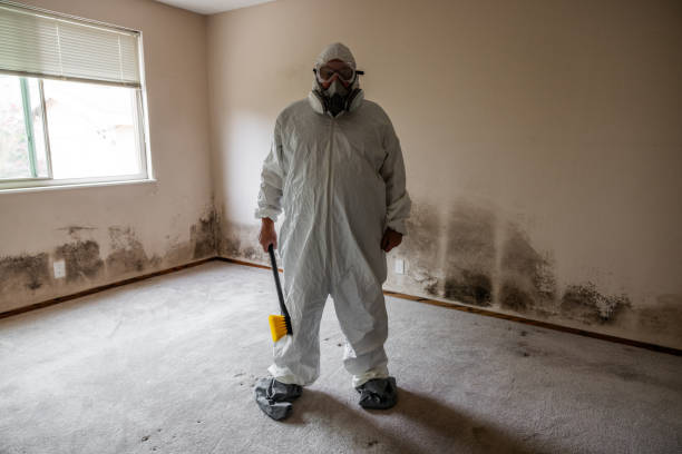 Best Crawl Space Mold Removal  in Franklin Rk, PA